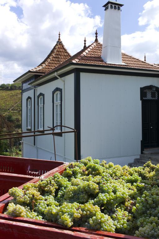 Pensjonat Casa De Cambres Lamego Zewnętrze zdjęcie