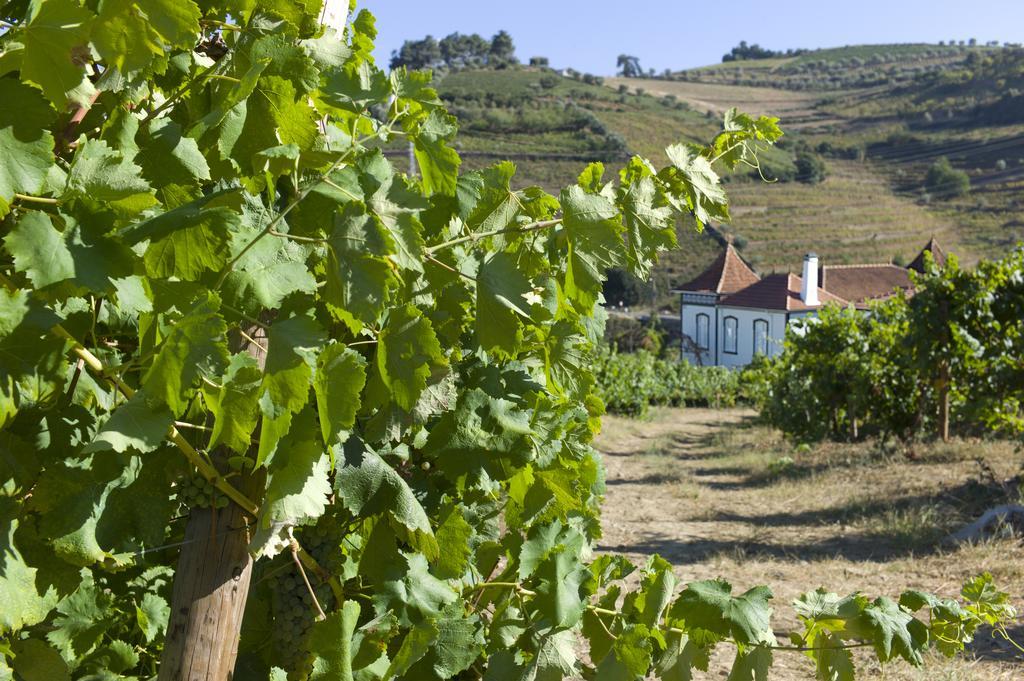 Pensjonat Casa De Cambres Lamego Zewnętrze zdjęcie